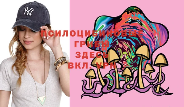 дурь Белокуриха