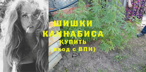 дурь Белокуриха