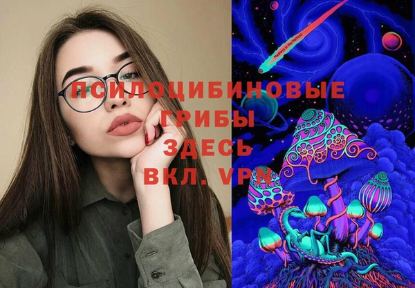 дурь Белокуриха